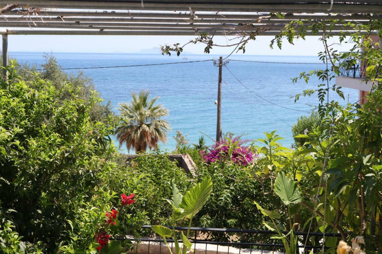 Michaela Hotel Poros  Værelse billede